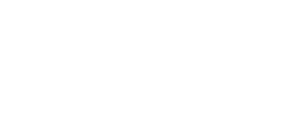 Dog and Duck Pub